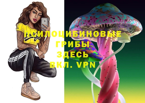 стафф Баксан