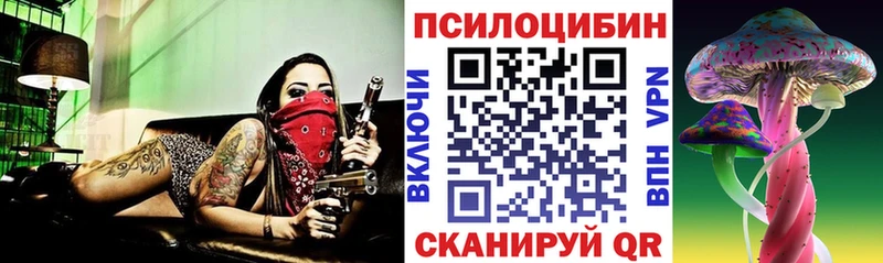Галлюциногенные грибы Psilocybine cubensis  магазин    Никольское 